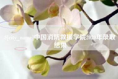 中山中国消防救援学院2020年录取结果