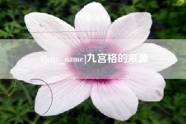 中山九宫格的来源