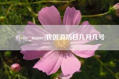 中山我国消防日几月几号