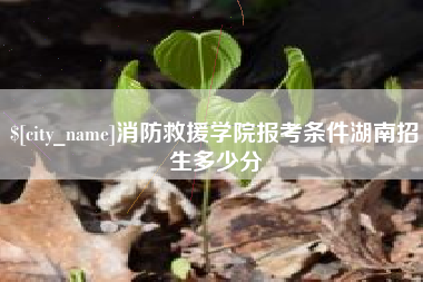 中山消防救援学院报考条件湖南招生多少分