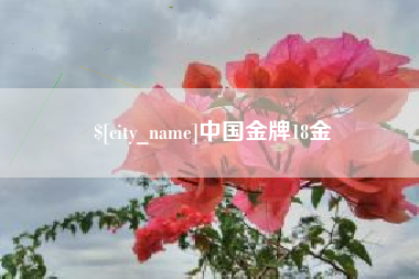中山中国金牌18金