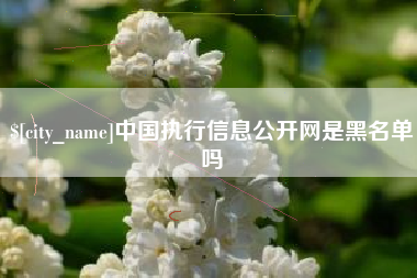 中山中国执行信息公开网是黑名单吗