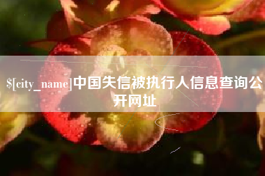 中山中国失信被执行人信息查询公开网址