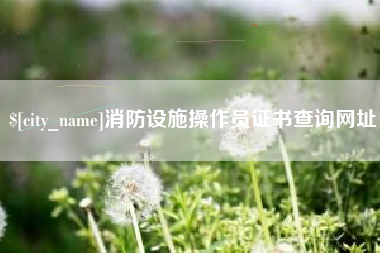 中山消防设施操作员证书查询网址