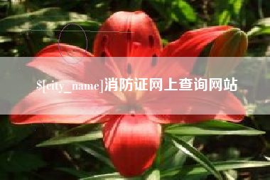 中山消防证网上查询网站