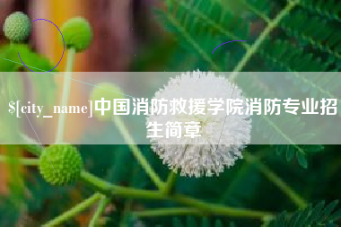 中山中国消防救援学院消防专业招生简章