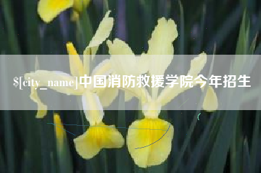 中山中国消防救援学院今年招生