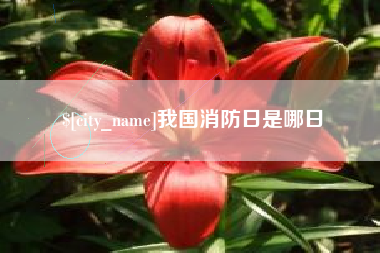 中山我国消防日是哪日