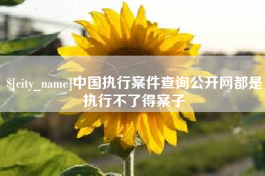 中山中国执行案件查询公开网都是执行不了得案子