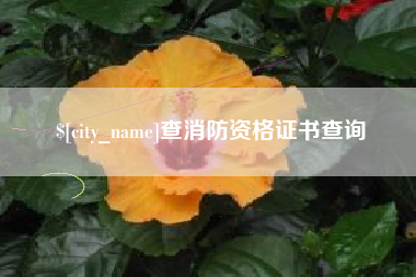 中山查消防资格证书查询