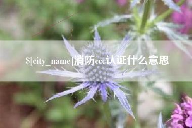 中山消防ccc认证什么意思