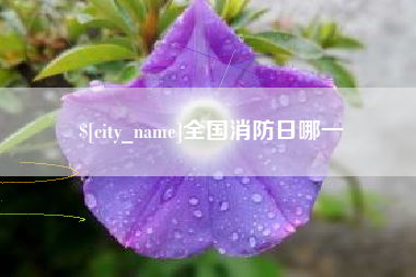 中山全国消防日哪一