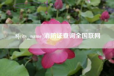 中山消防证查询全国联网