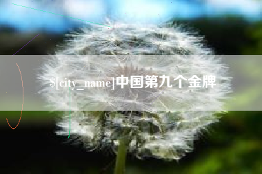 中山中国第九个金牌