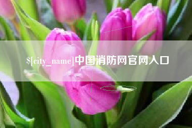 中山中国消防网官网入口