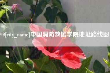 中山中国消防救援学院地址路线图