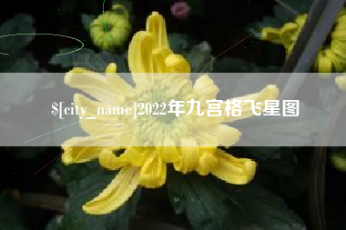 中山2022年九宫格飞星图