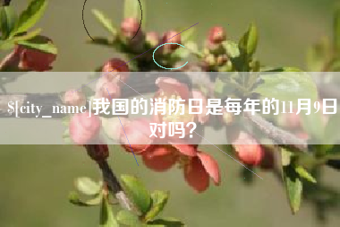 中山我国的消防日是每年的11月9日对吗？
