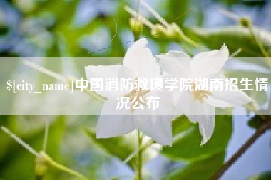 中山中国消防救援学院湖南招生情况公布