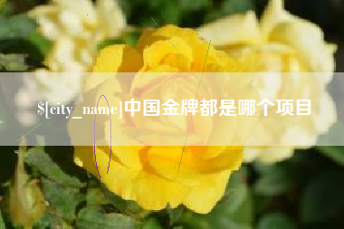 中山中国金牌都是哪个项目