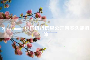 中山中国执行信息公开网多久能消除