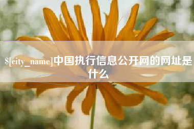 中山中国执行信息公开网的网址是什么
