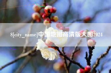 中山中国地图高清版大图2024