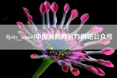 中山中国消防网官方网站公众号