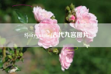 中山古代九宫图片
