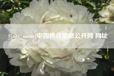 中山中国执行信息公开网 网址