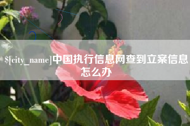中山中国执行信息网查到立案信息怎么办
