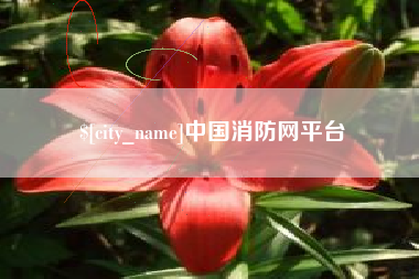 中山中国消防网平台