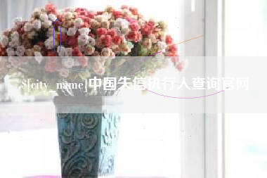 中山中国失信执行人查询官网