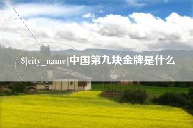 中山中国第九块金牌是什么