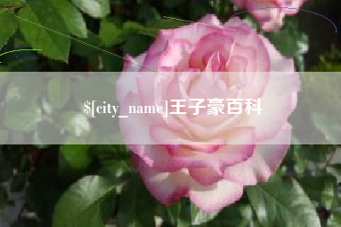 中山王子豪百科