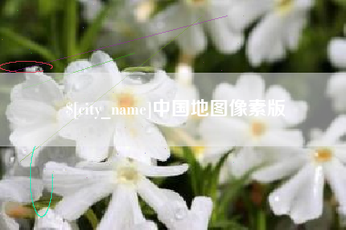 中山中国地图像素版