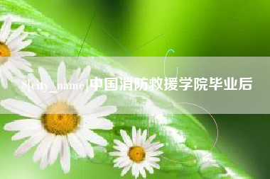 中山中国消防救援学院毕业后