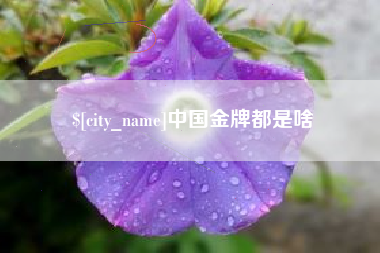 中山中国金牌都是啥