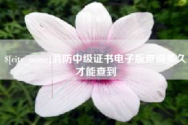 中山消防中级证书电子版查询多久才能查到