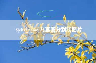 中山九宫图分割线图片