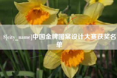中山中国金牌图案设计大赛获奖名单