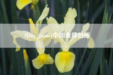 中山中国金牌包括