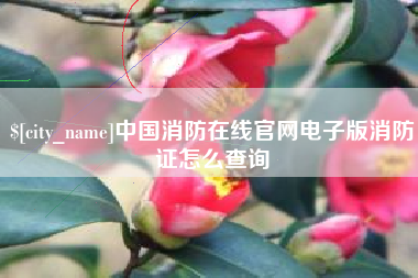 中山中国消防在线官网电子版消防证怎么查询