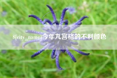 中山今年九宫格的不利颜色