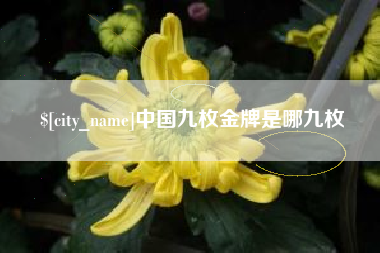 中山中国九枚金牌是哪九枚