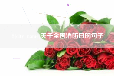 中山关于全国消防日的句子