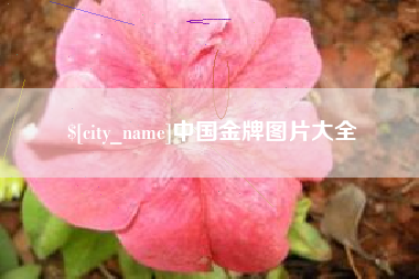 中山中国金牌图片大全