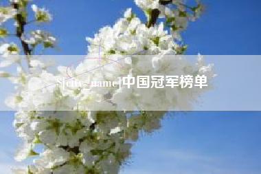 中山中国冠军榜单