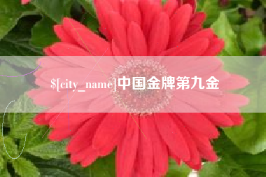 中山中国金牌第九金