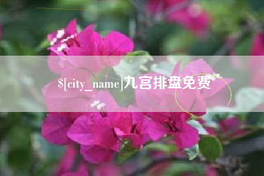 中山九宫排盘免费